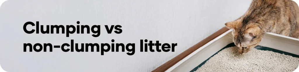 how to choose the best cat litter