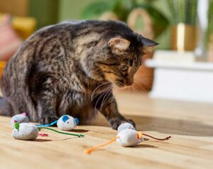 Fun-Toys-and-Puzzle-Feeders-to-Keep-Cats-Active