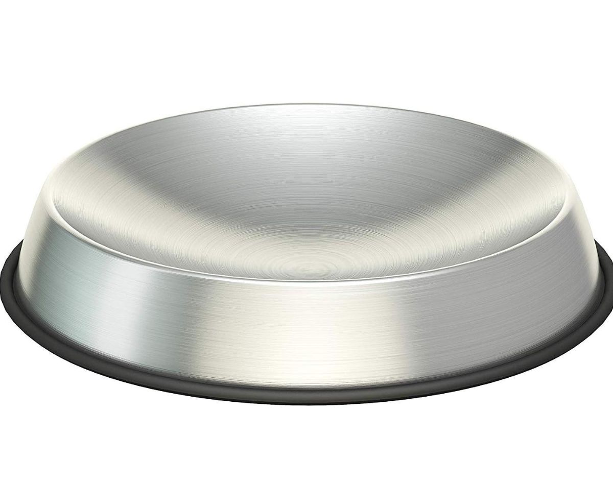 best cat bowls