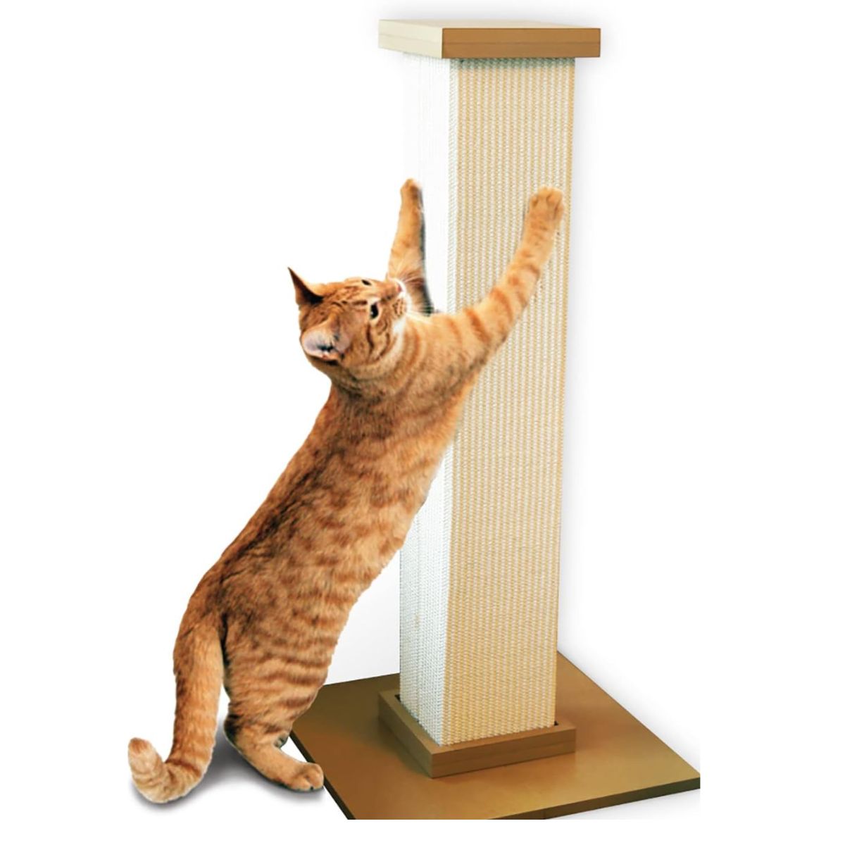 cat scratching post